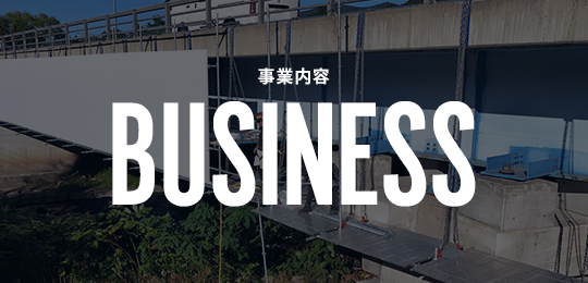 bnrhalf_business_off